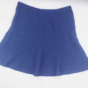 Ann Taylor Size 10 Blue A Line Skirt #313